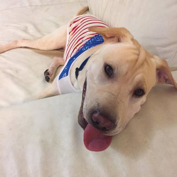 Meet your Posher, Keisha - Picture 1 of 1